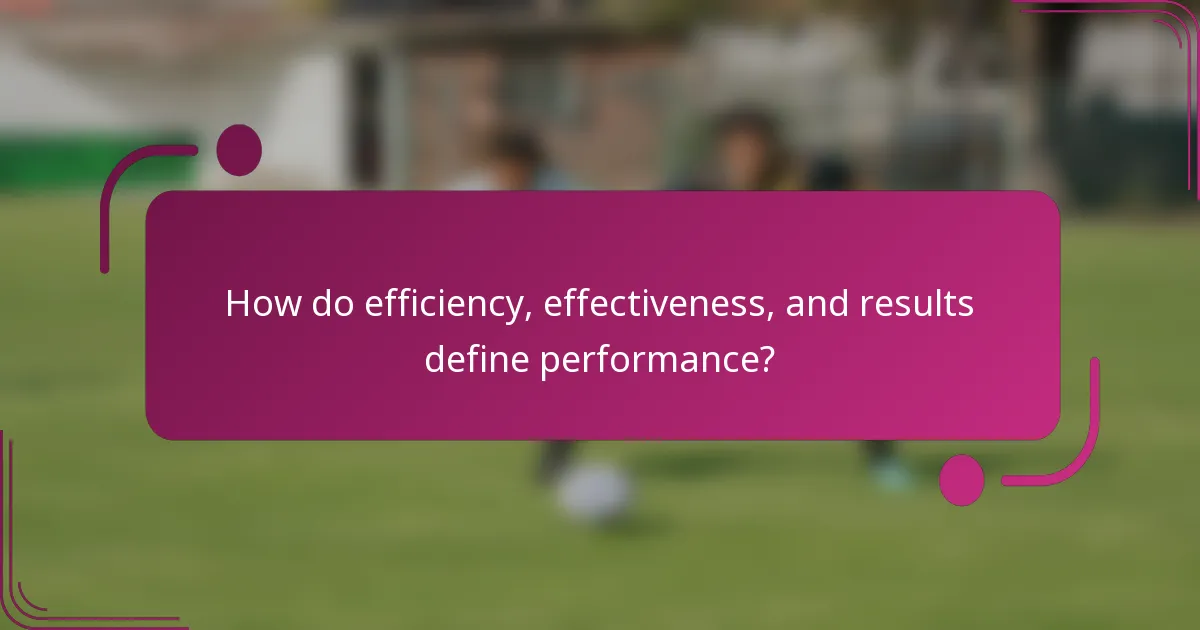 How do efficiency, effectiveness, and results define performance?
